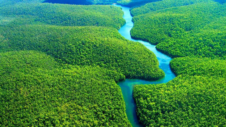 Amazônia: como podemos efetivamente ajudar?